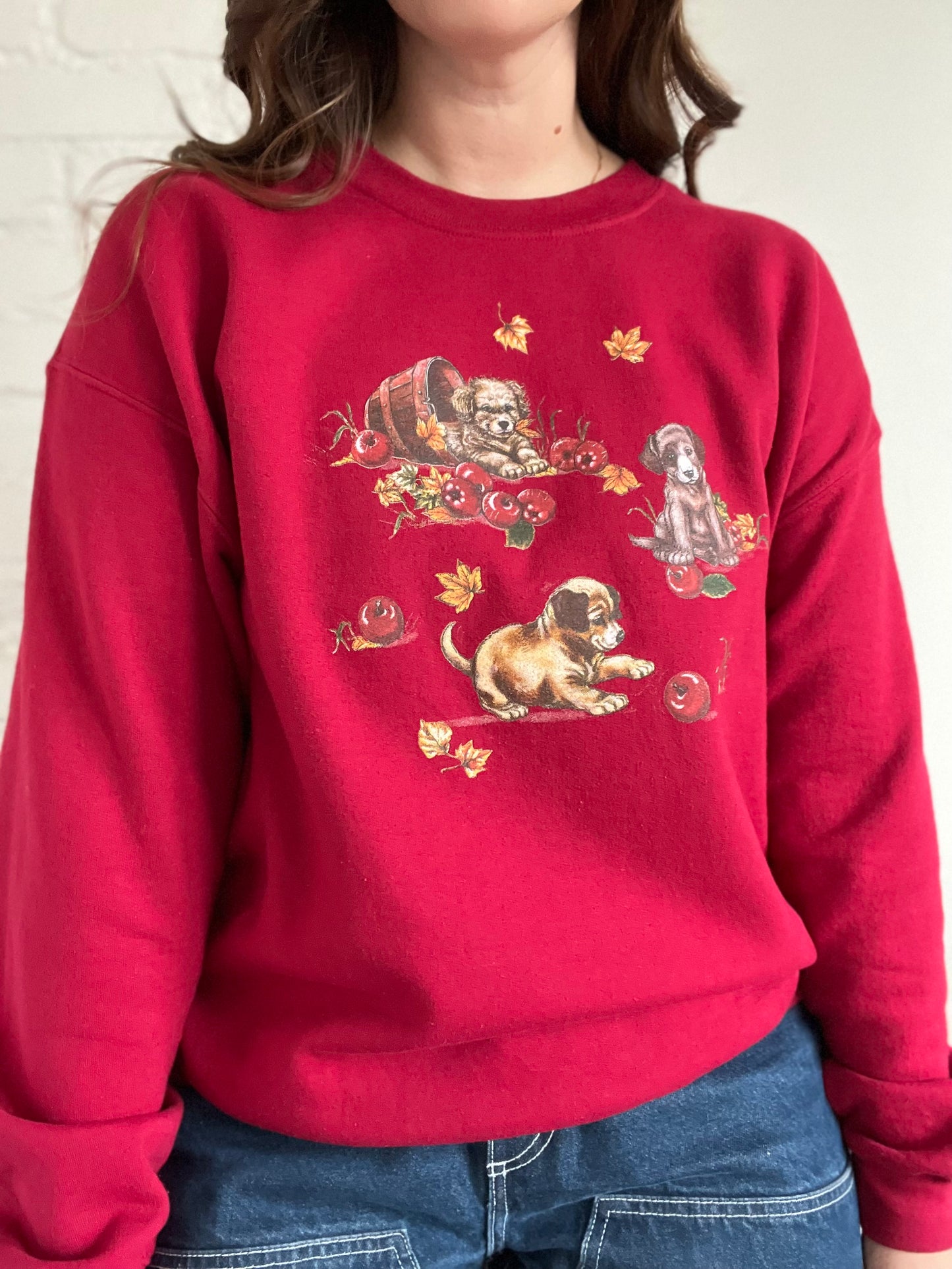 Apple Puppies Crewneck Sweater - L