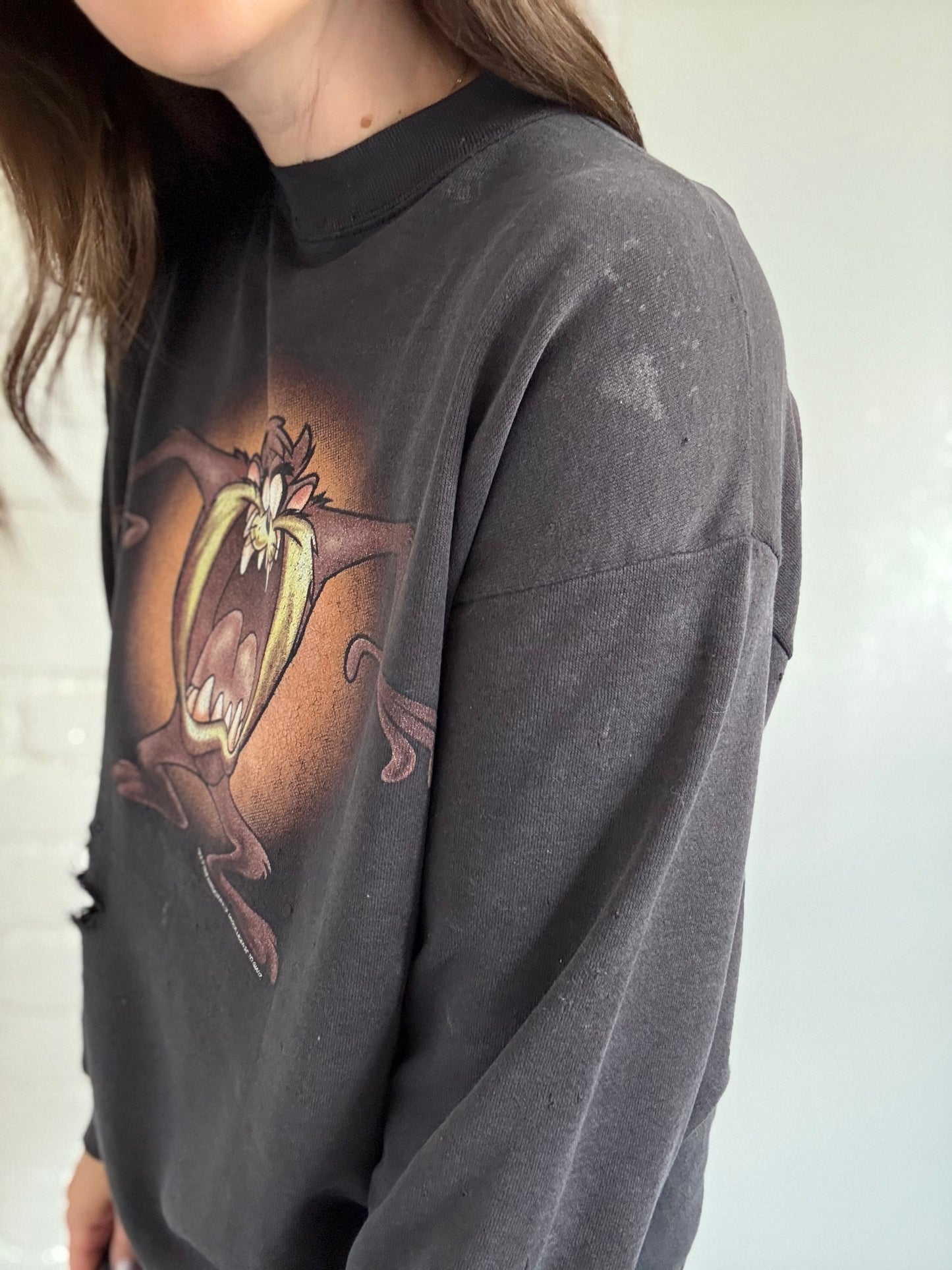 1992 Tasmanian Devil Crewneck - Size L/XL