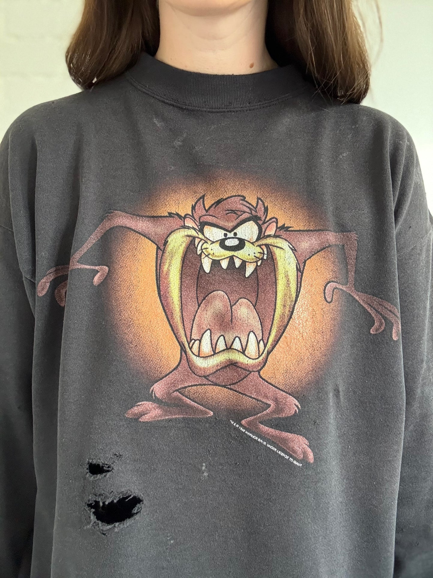 1992 Tasmanian Devil Crewneck - Size L/XL