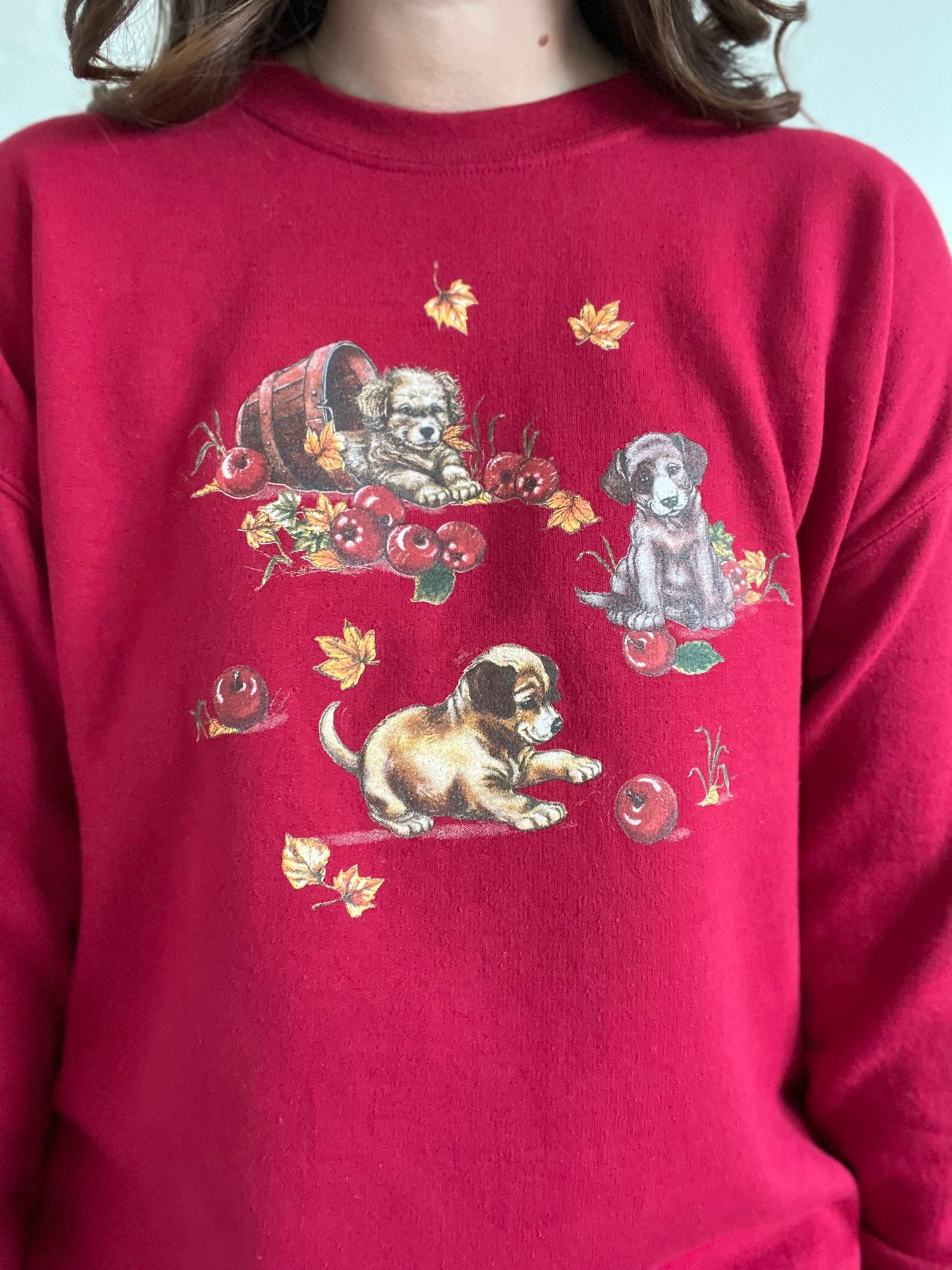 Apple Puppies Crewneck Sweater - L