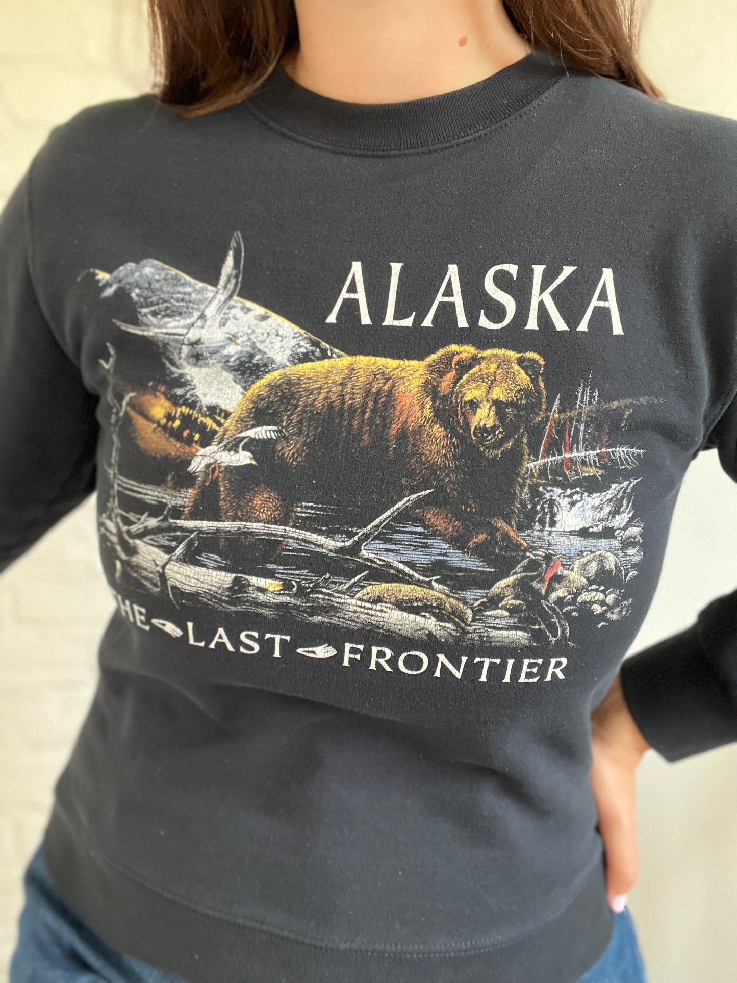 Alaska The Last Frontier Sweater - S