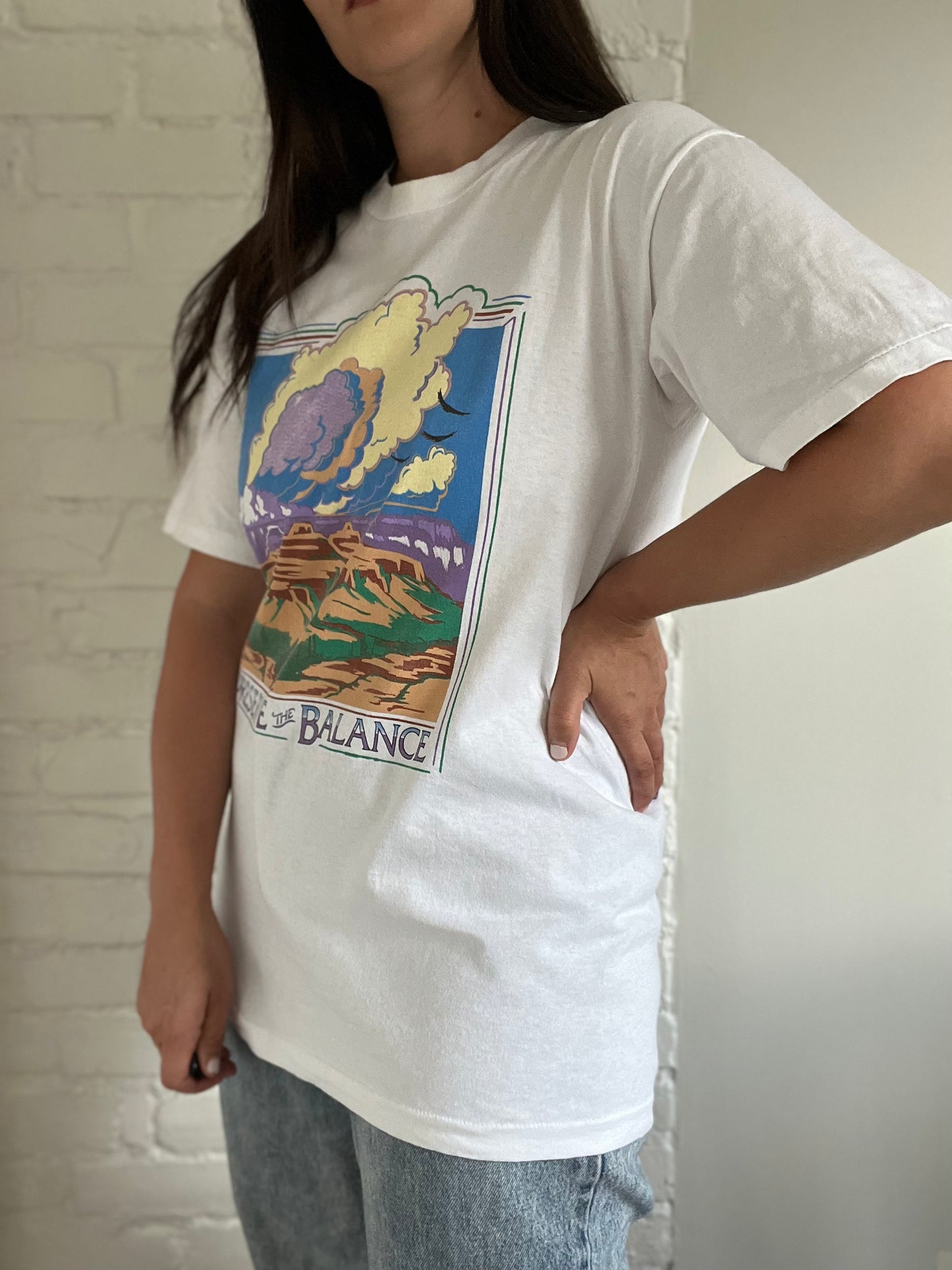 Grand Canyon Balance Tee - Size M