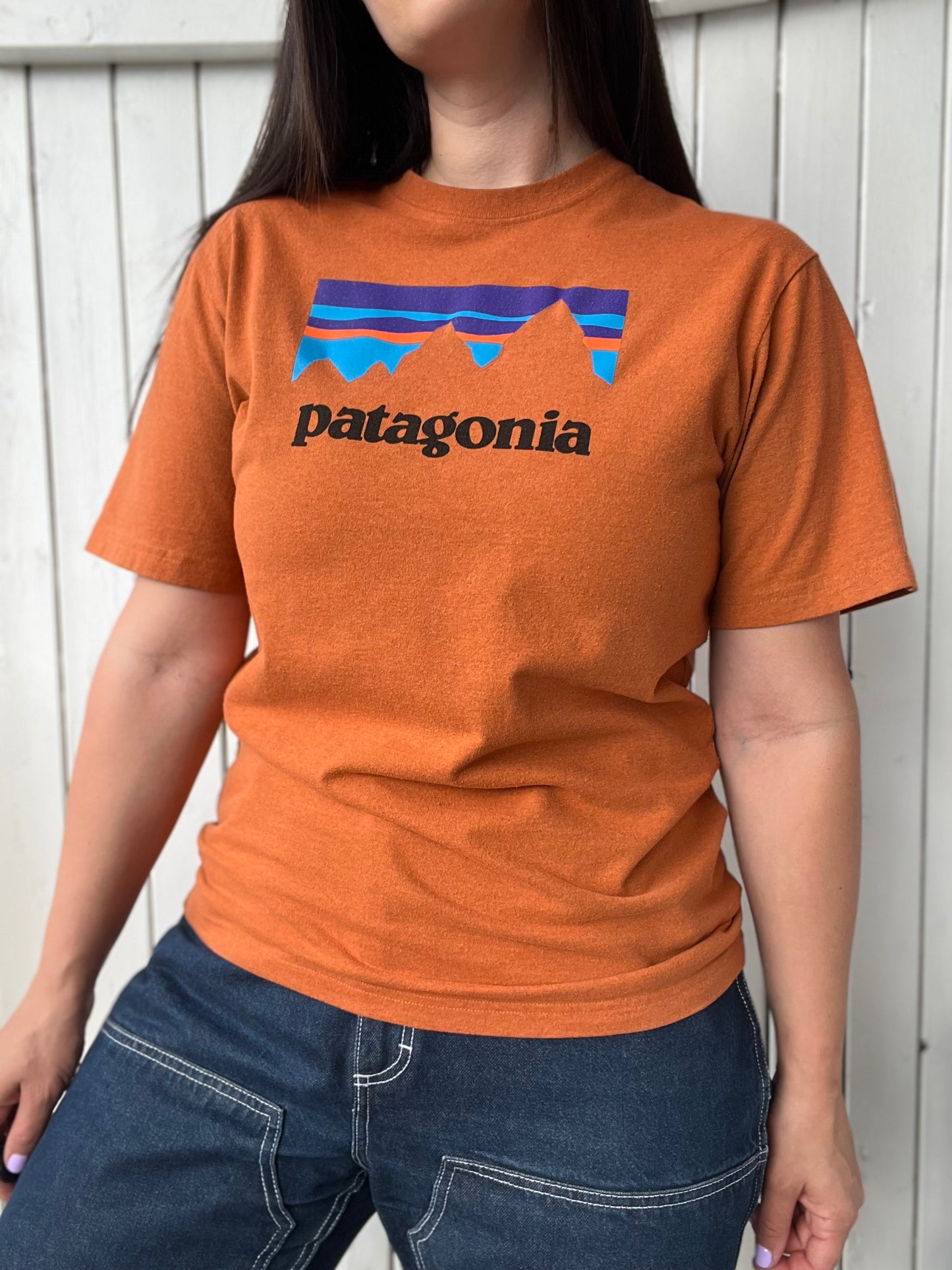 Patagonia Responsibili-Tee - Size M