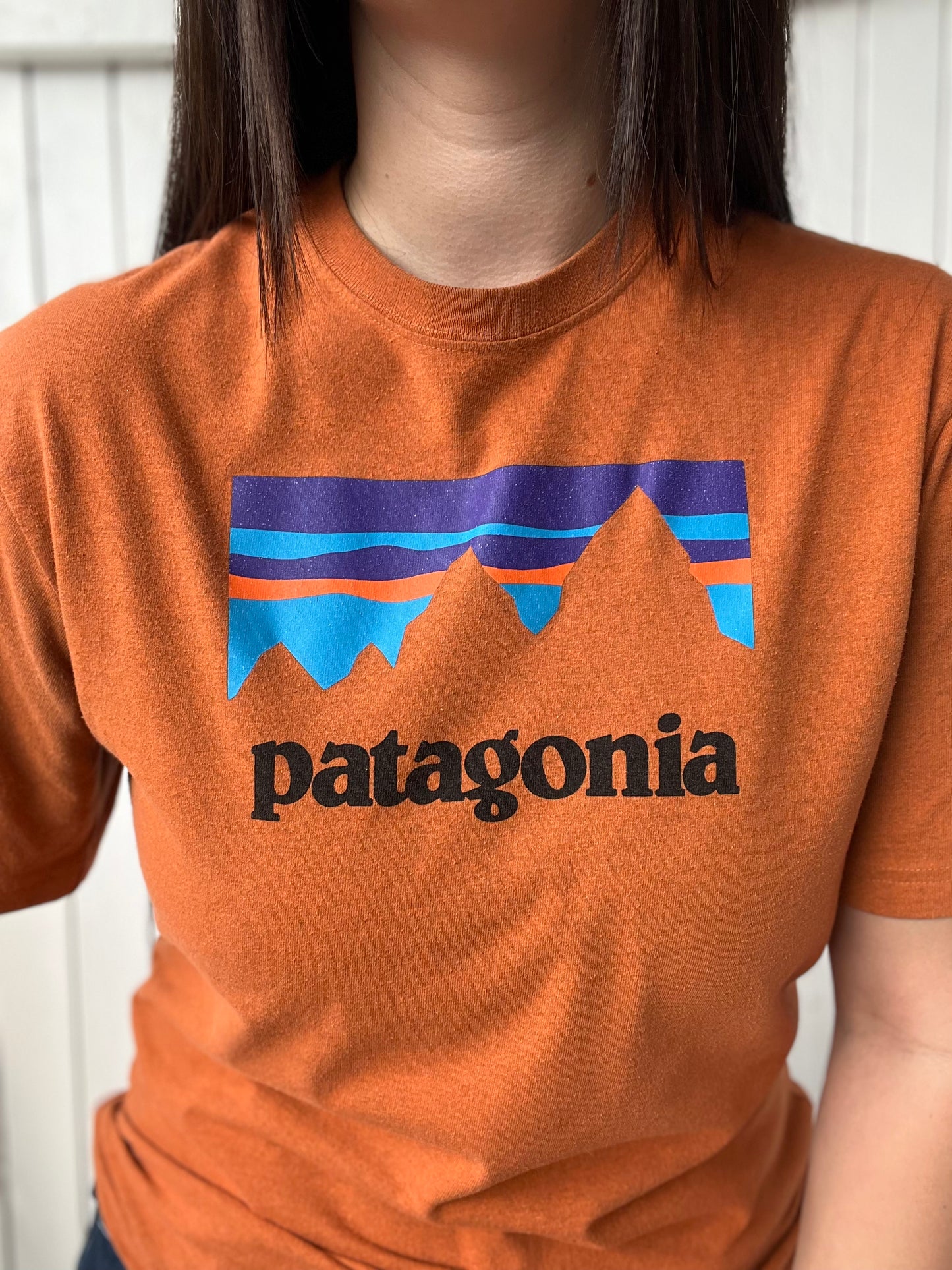 Patagonia Responsibili-Tee - Size M