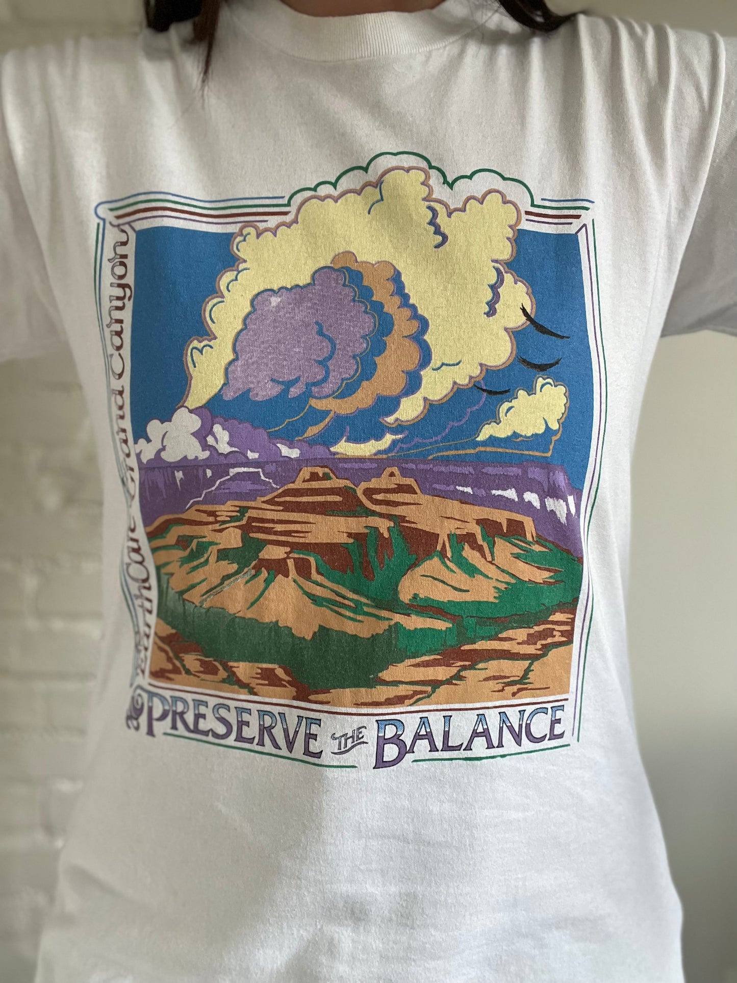Grand Canyon Balance Tee - Size M