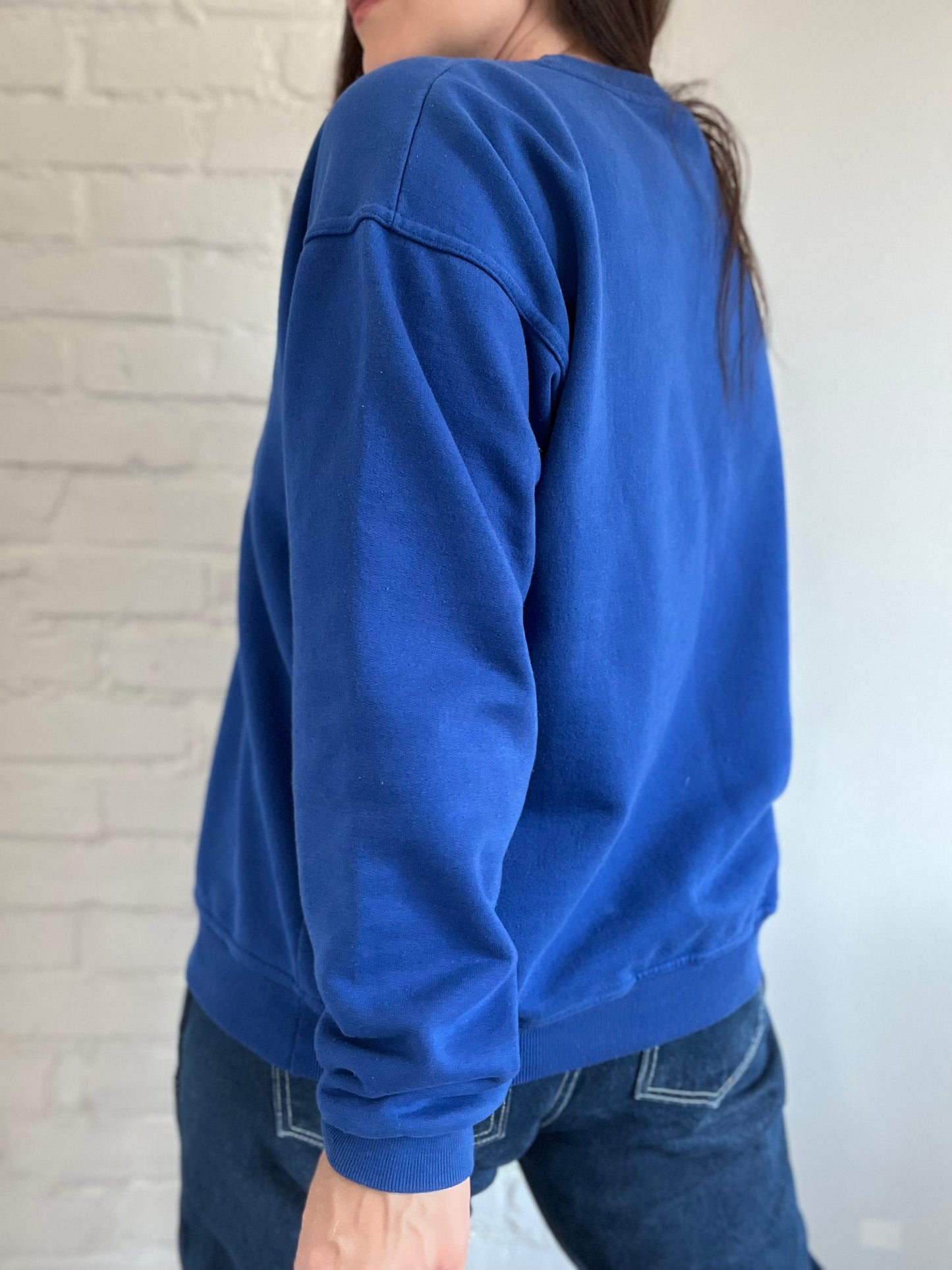 90s Northern Reflections Loon Sweater - Size XL