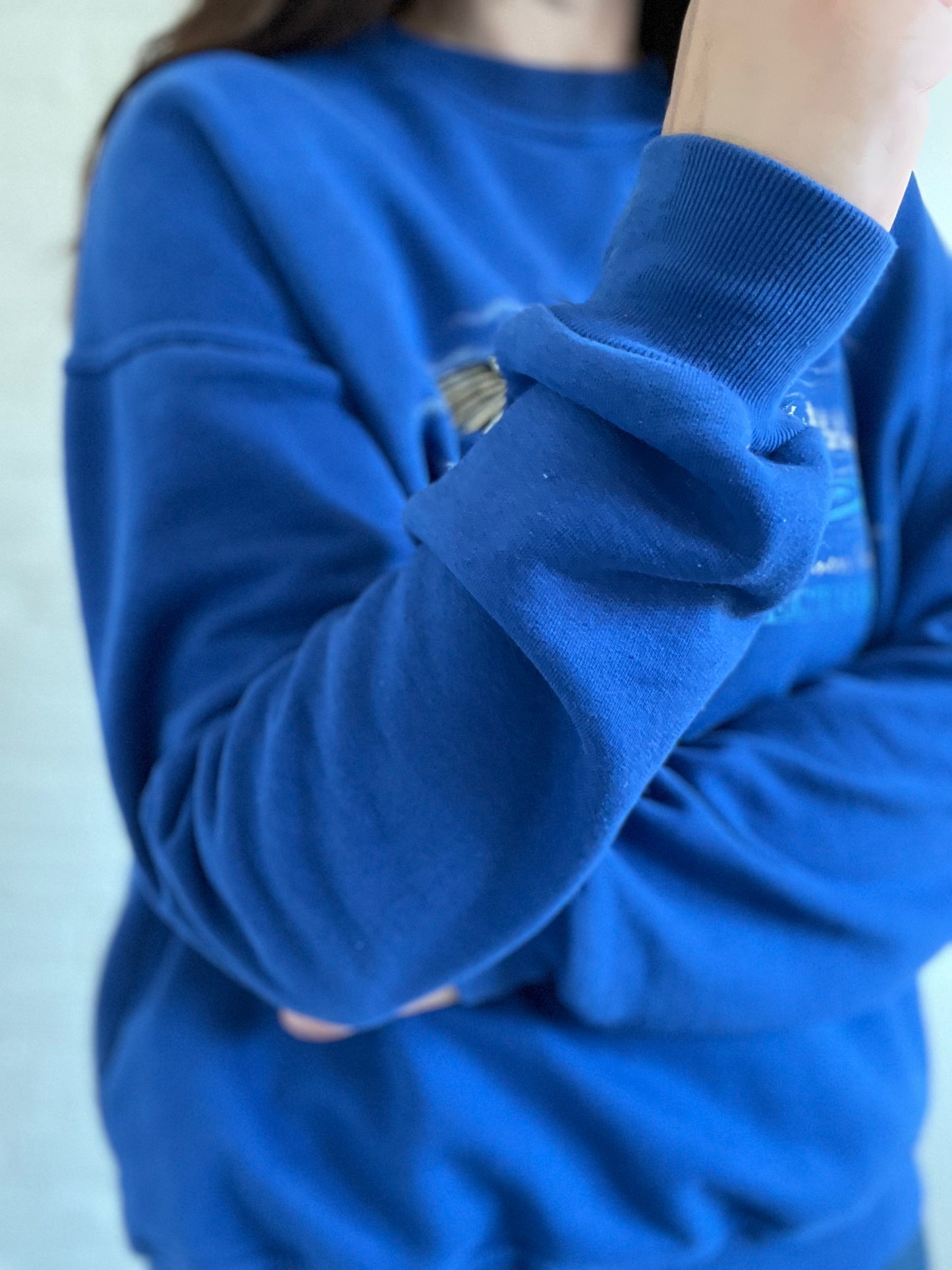 90s Northern Reflections Loon Sweater - Size XL