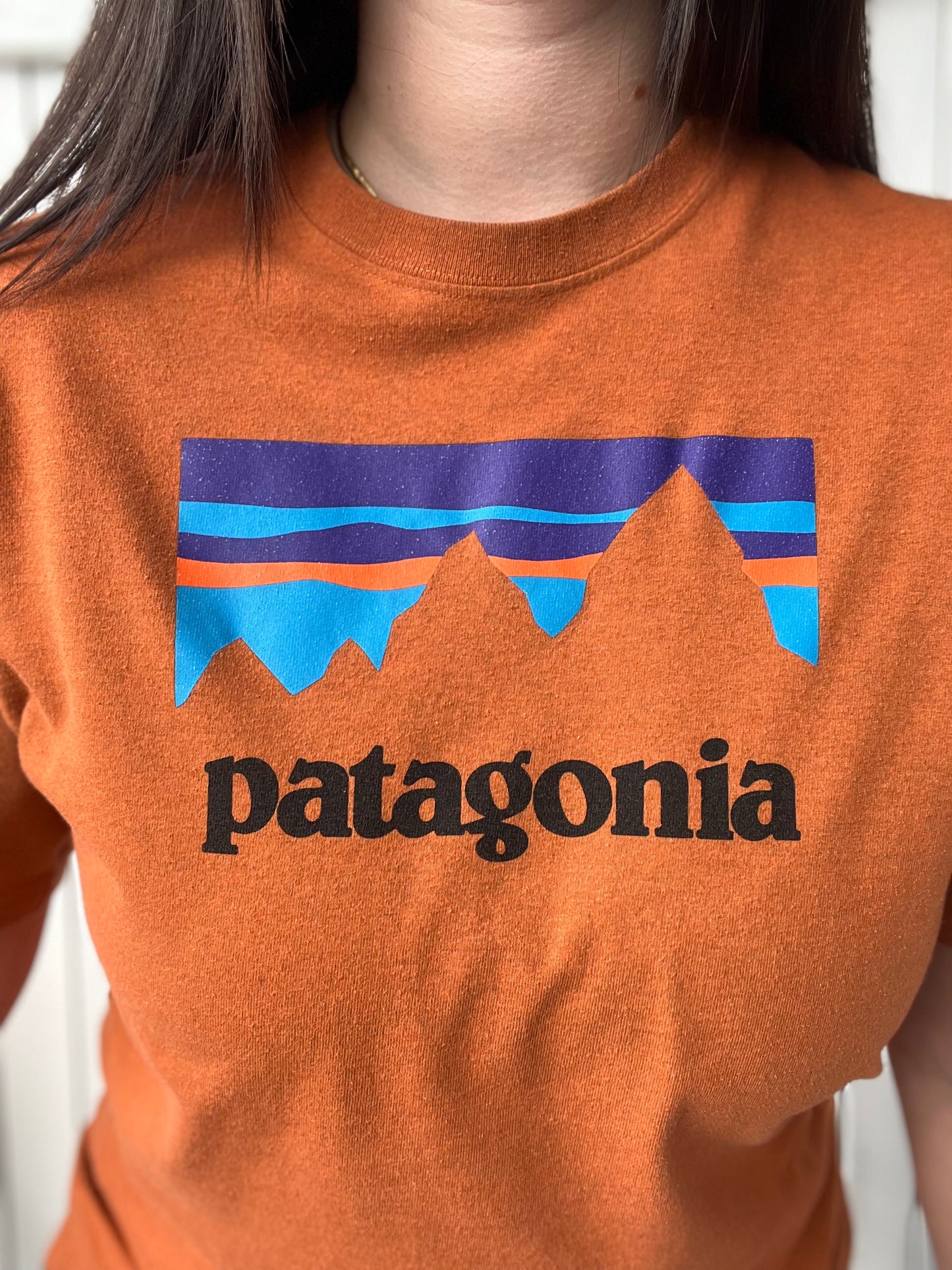 Patagonia Responsibili-Tee - Size M