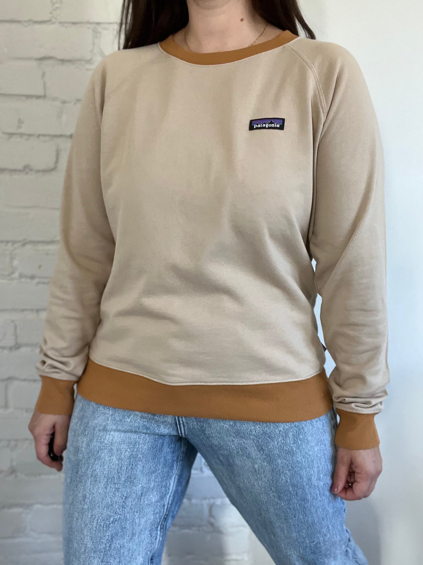 Patagonia P-6 Organic Crew Sweater - L
