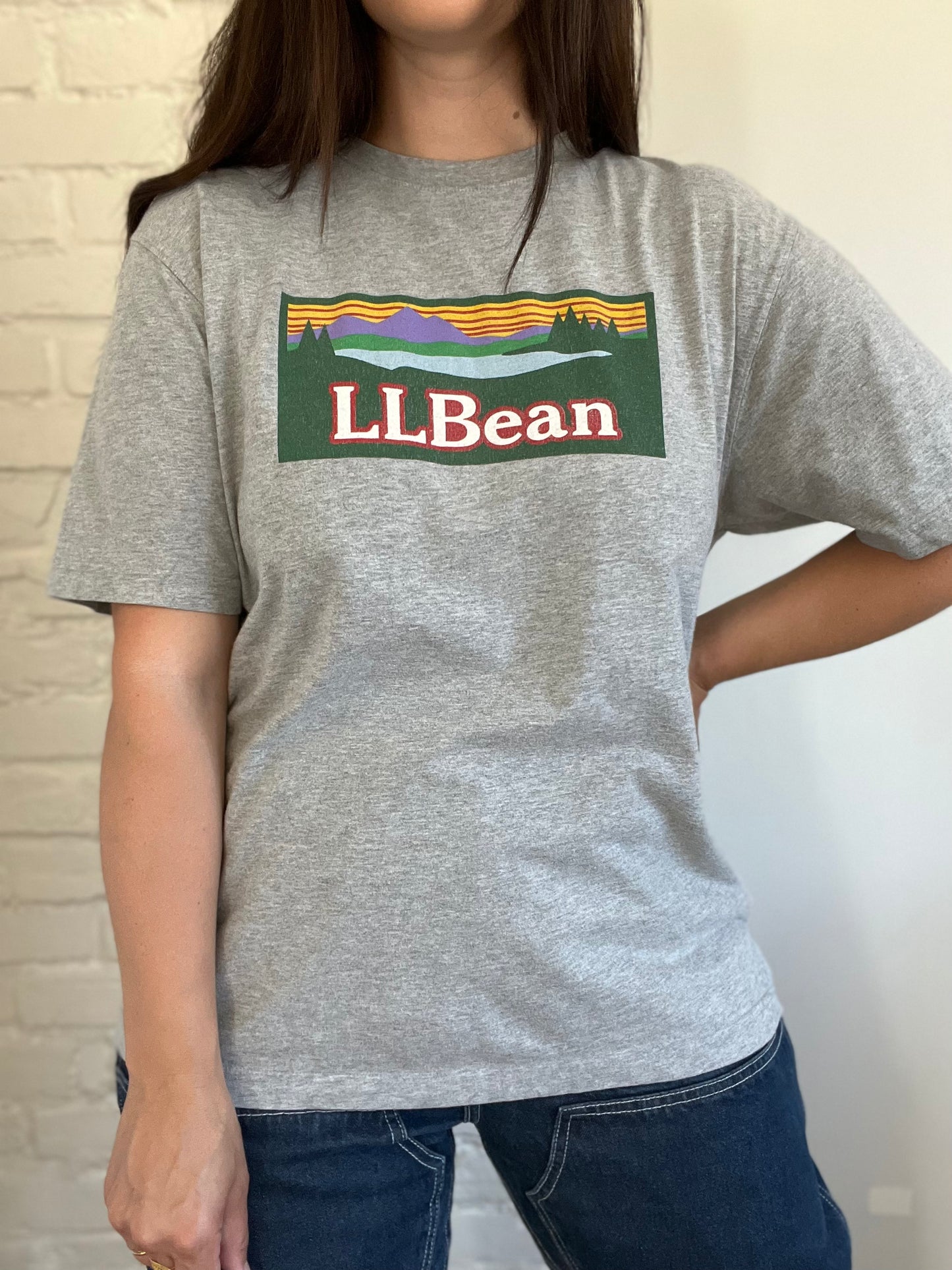 L.L. Bean Classic Tee - Size Mens M