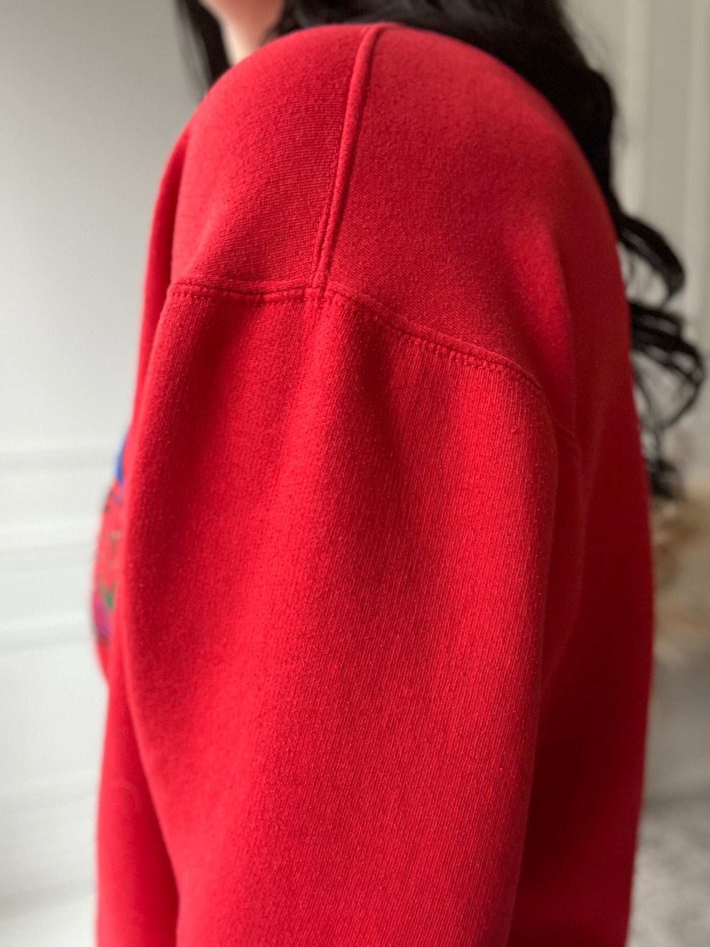 Canadian Marshlands Loon Sweater - Size L/XL