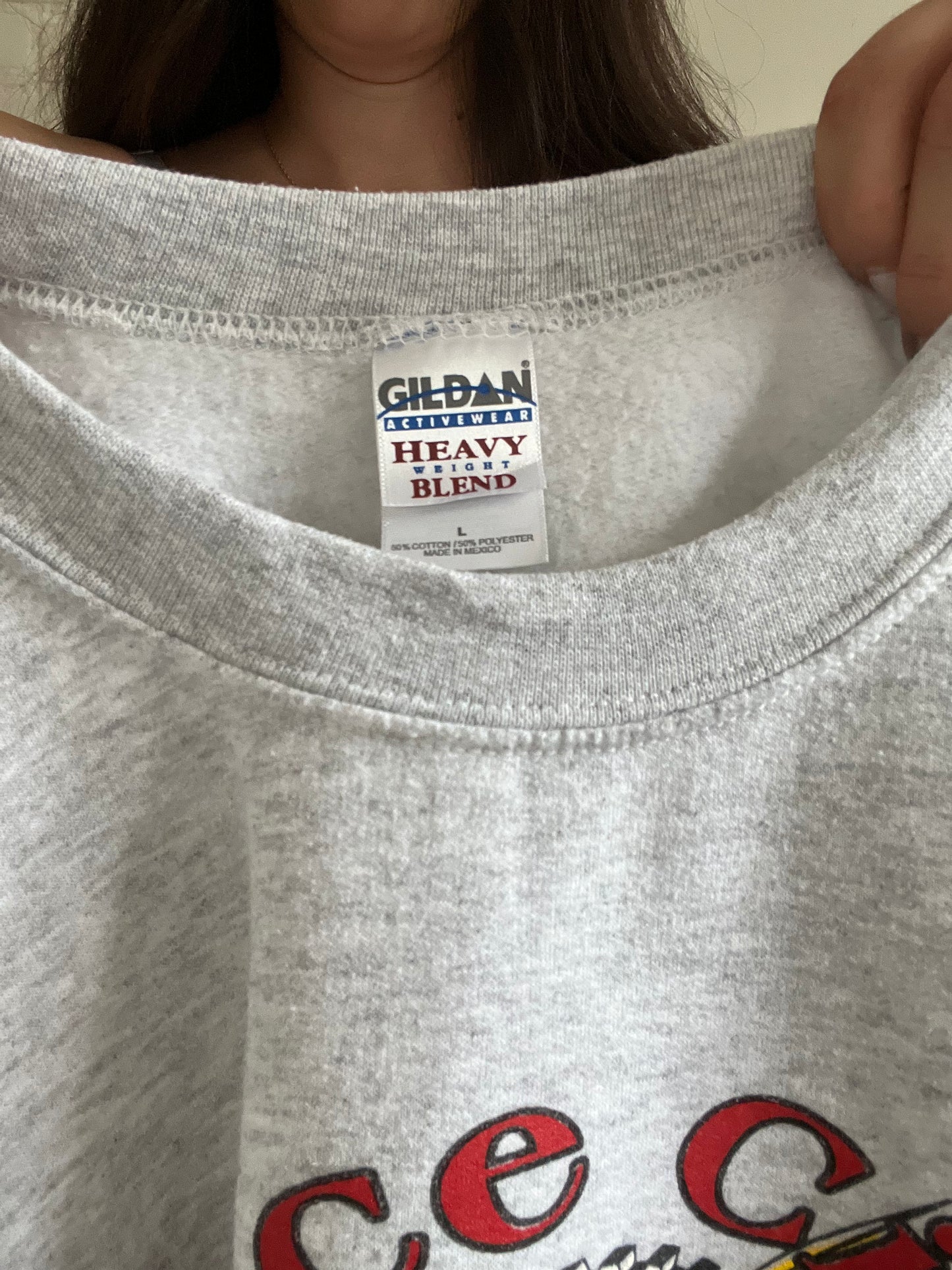 2005 Race City Vintage Crewneck - Size L