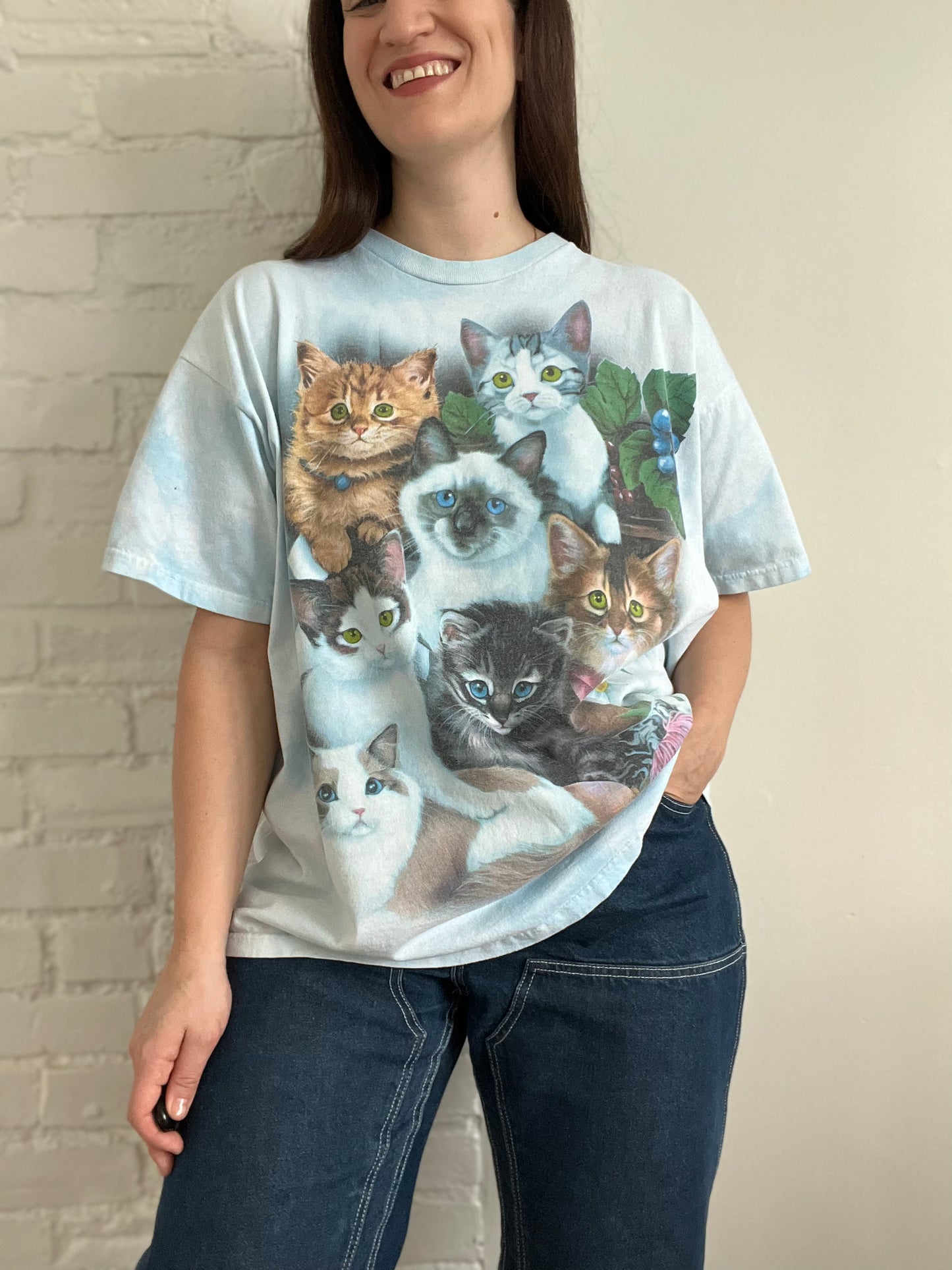 Cats on Cats T-shirt - Mens XL