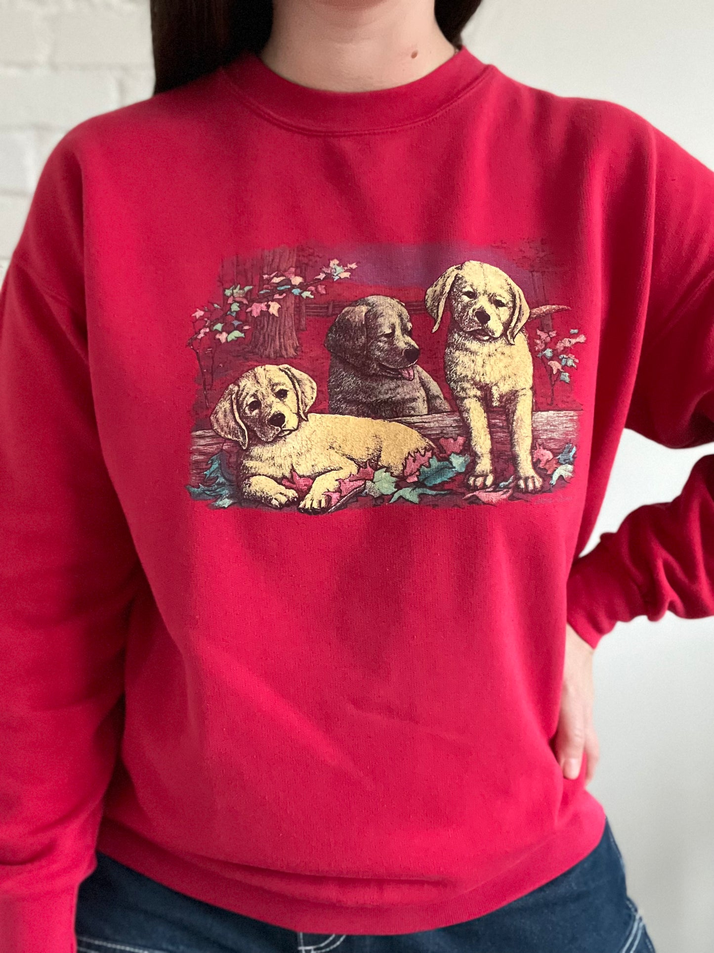 Northern Reflections Puppies Sweater - L