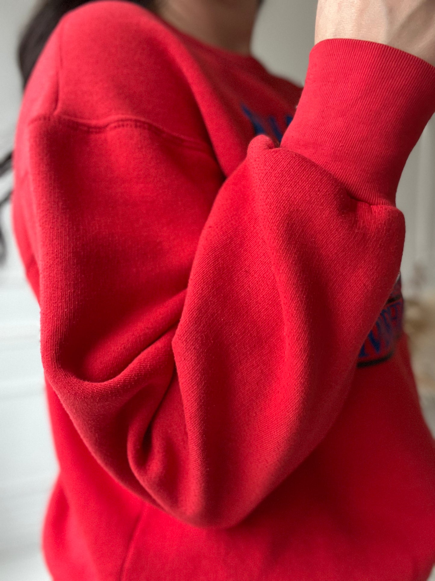 Canadian Marshlands Loon Sweater - Size L/XL