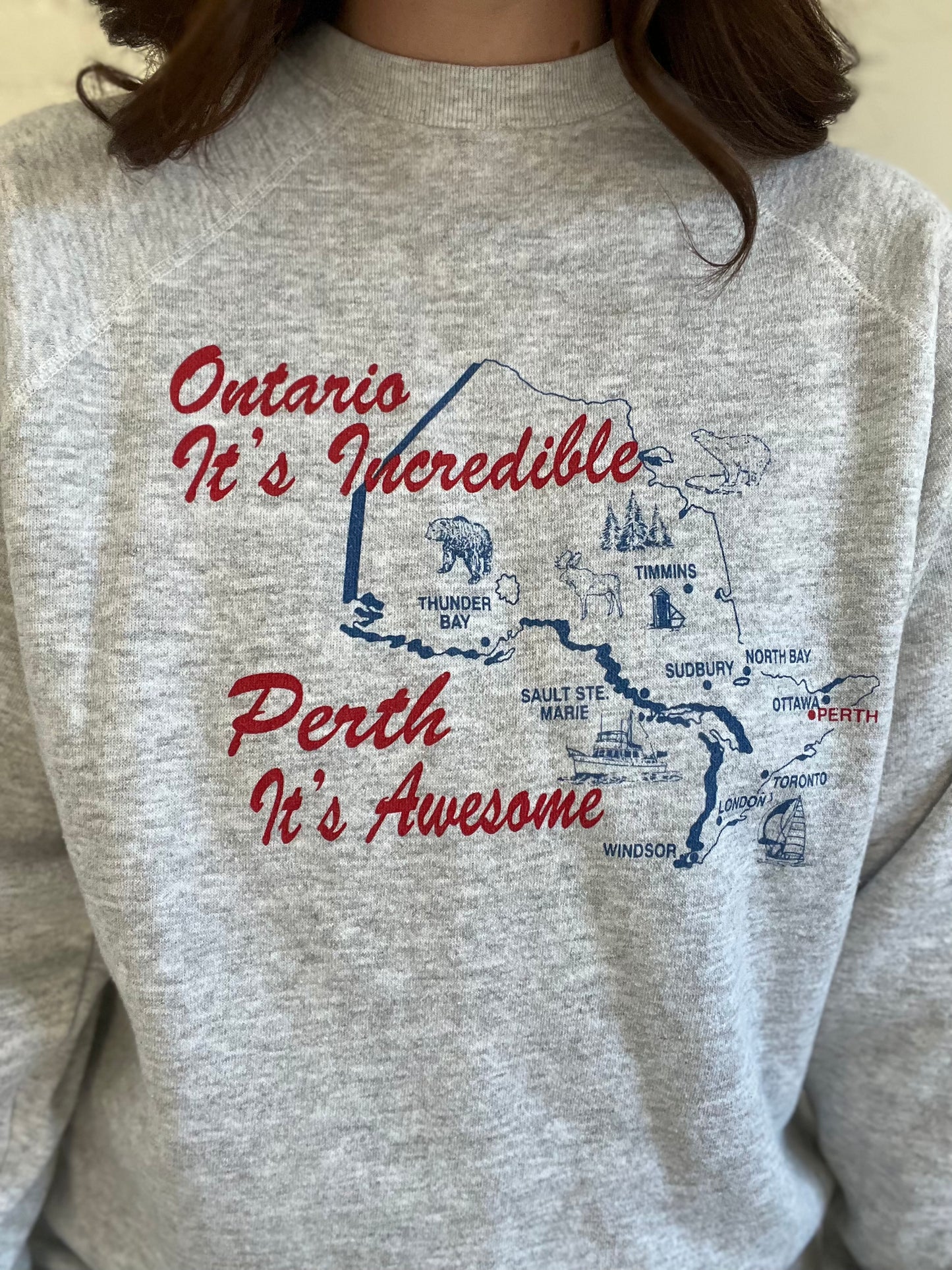 Perth It's Awesome Ontario Sweater - XL
