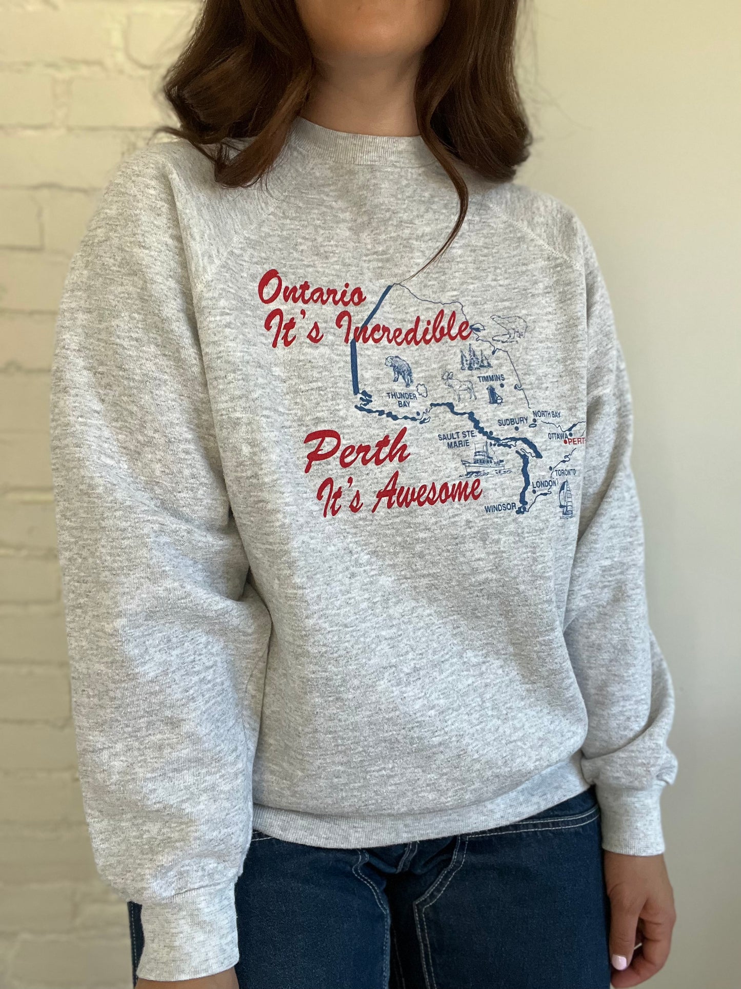 Perth It's Awesome Ontario Sweater - XL