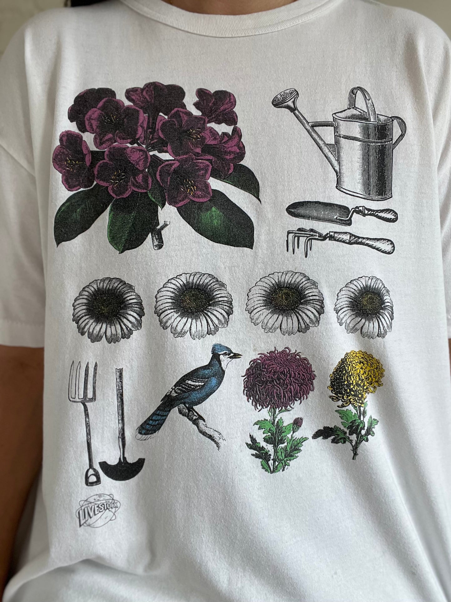 Garden Blue Jay T-Shirt - XL