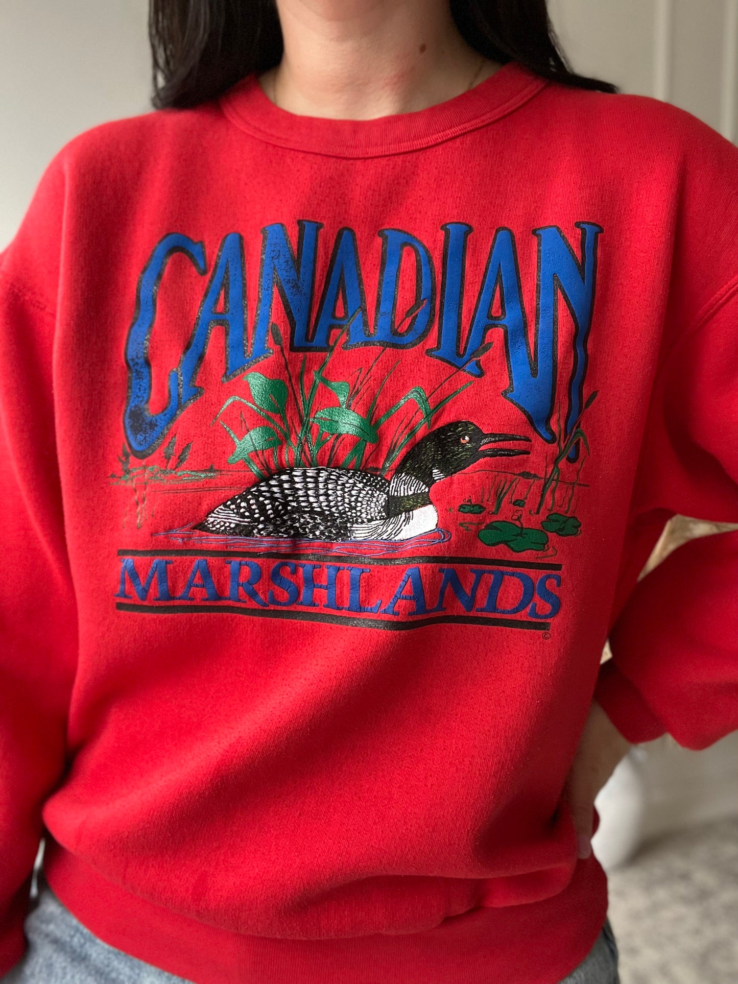 Canadian Marshlands Loon Sweater - Size L/XL