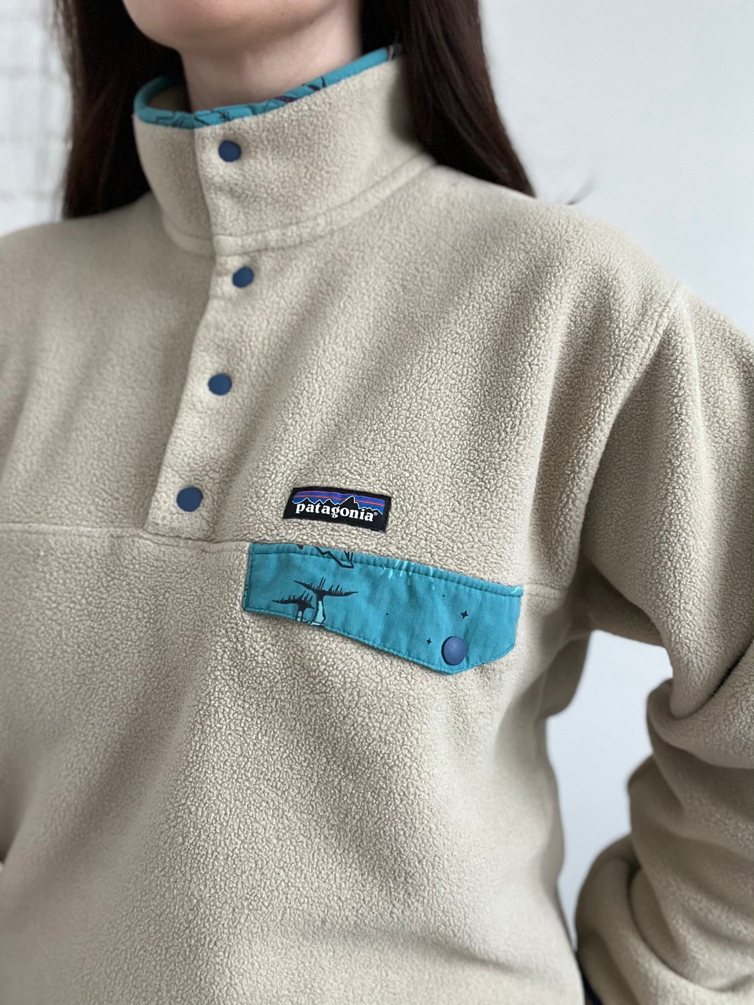 Patagonia 2025 synchilla sweater