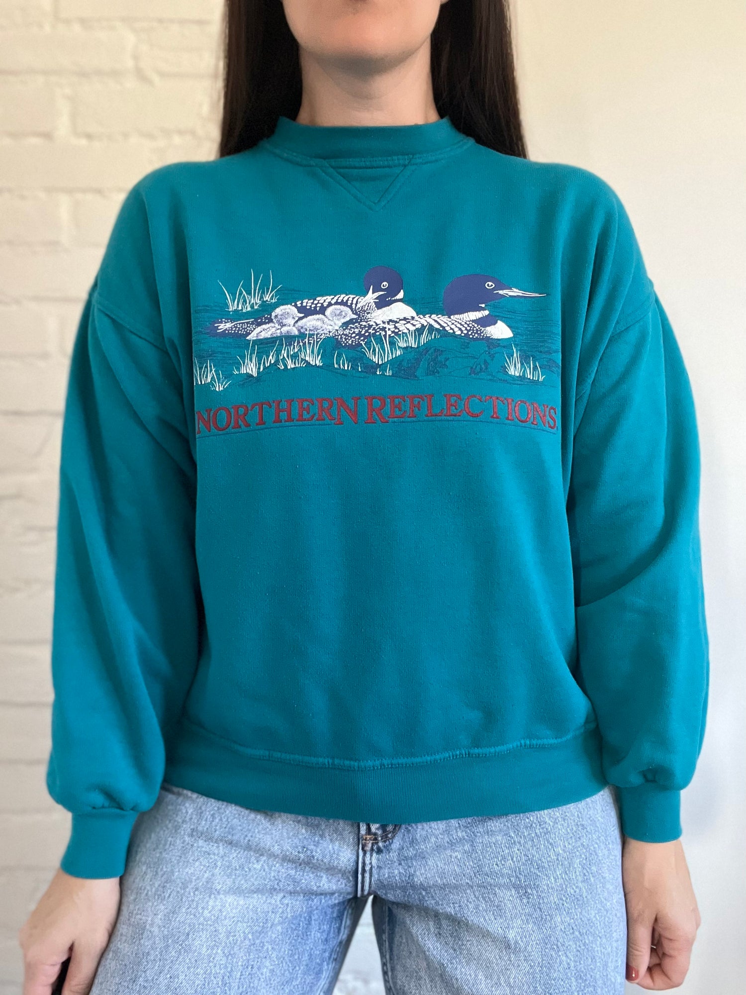 Northern Reflections Loon Sweatshirt – DESERT MOSS VINTAGE