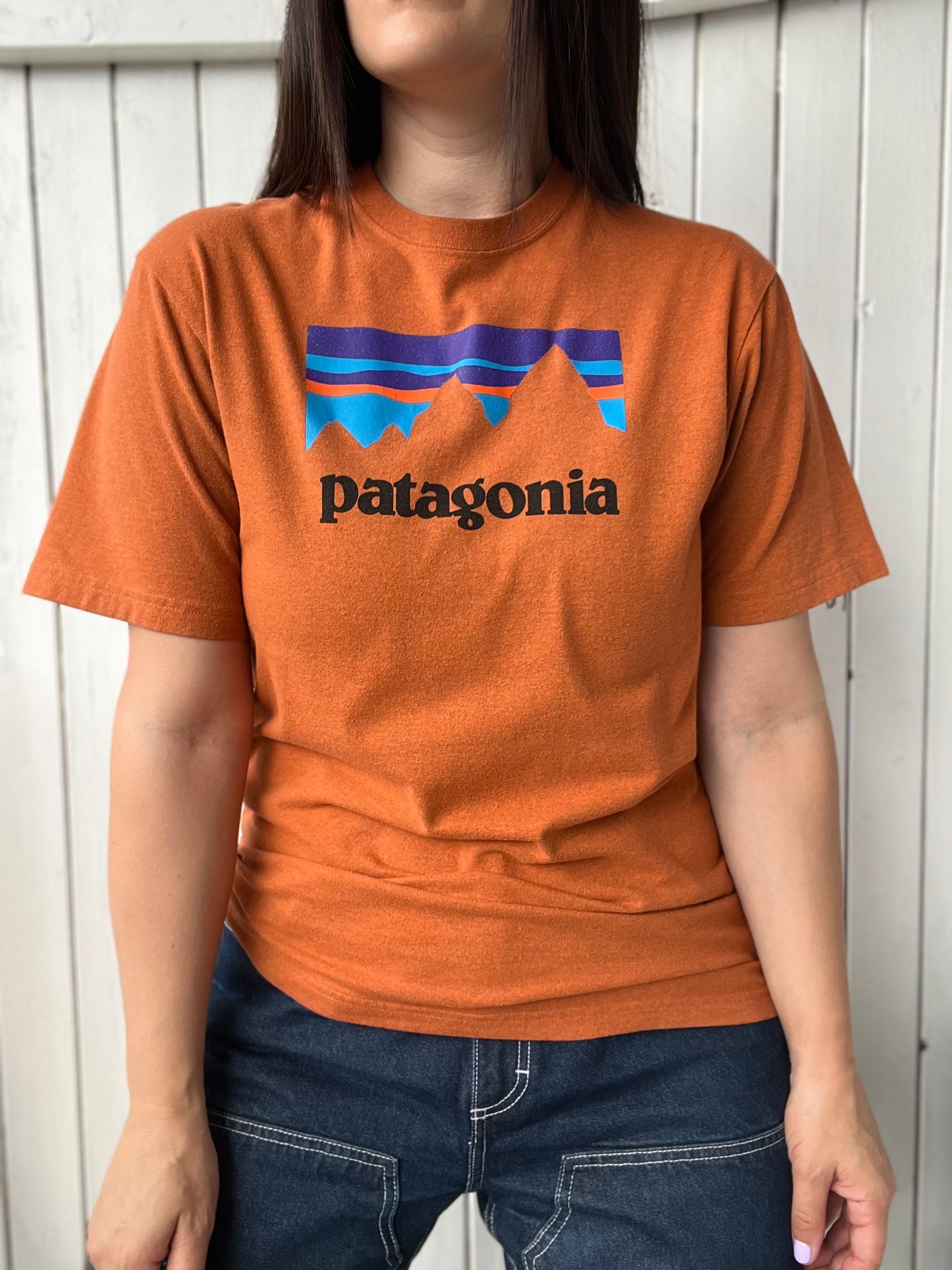 Patagonia Responsibili-Tee - Size M