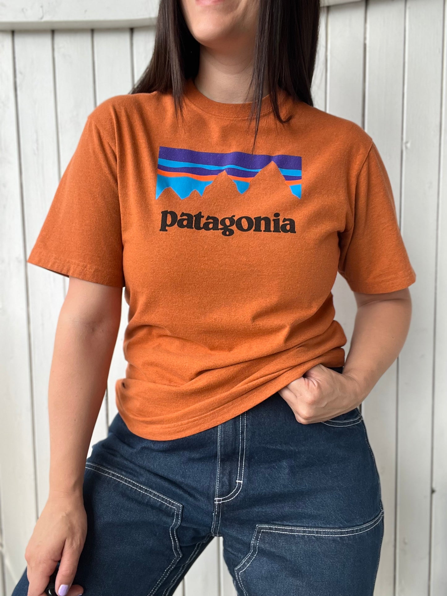 Patagonia Responsibili-Tee - Size M