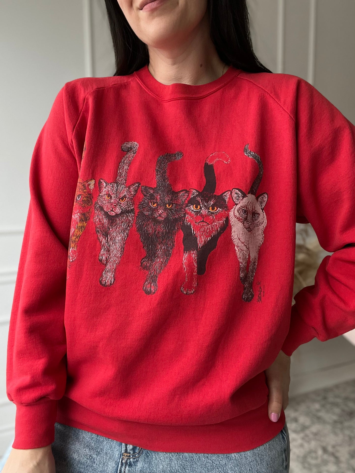 Vintage Cats Sweater  - Size S/M/L